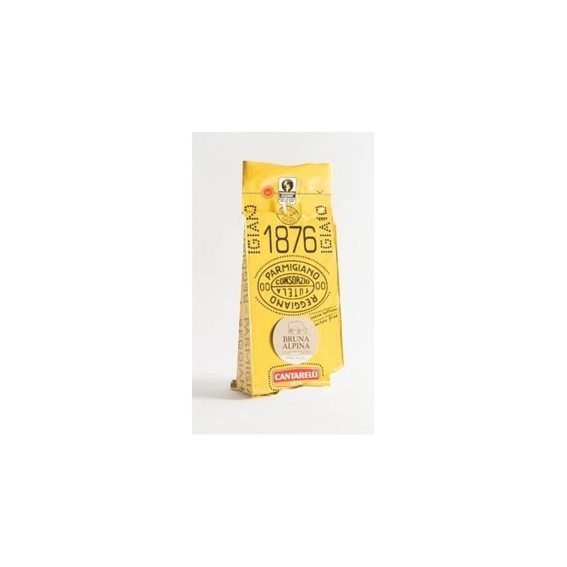 Parmigiano Reggiano Bruna Alpina D.O.P. 24-36 mesi Punta da 500 gr Cantarelli