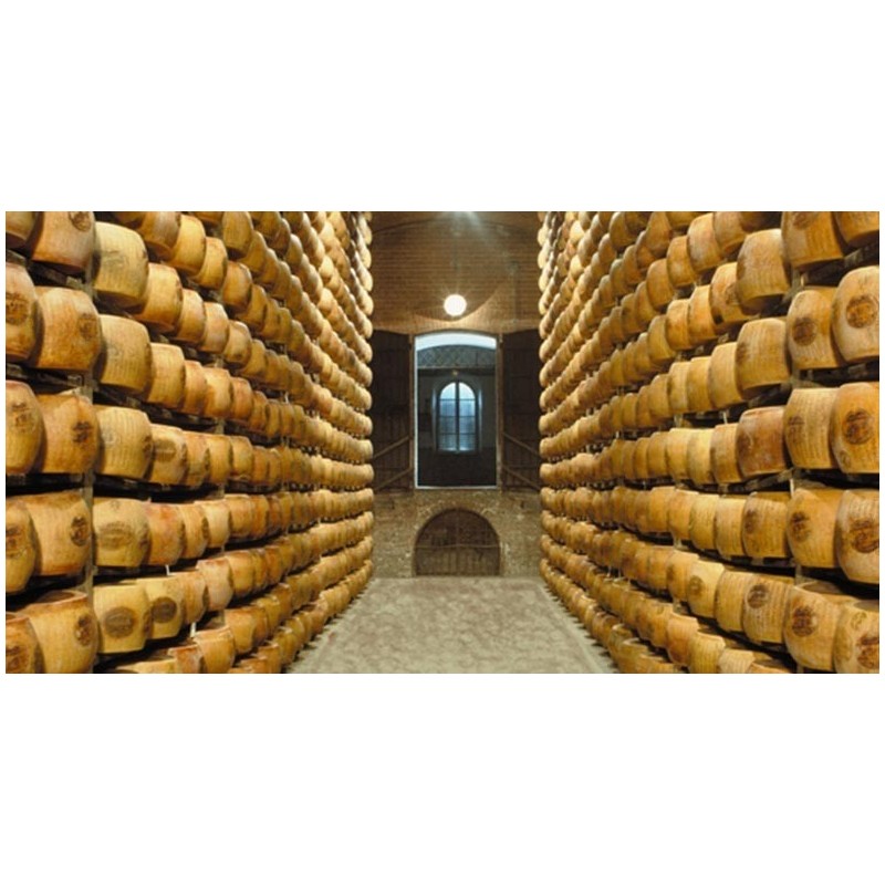 Parmigiano Reggiano Bruna Alpina D.O.P. 24-36 mesi Punta da 500 gr Cantarelli
