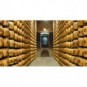 Parmigiano Reggiano Bruna Alpina D.O.P. 24-36 mesi Punta da 500 gr Cantarelli