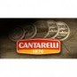 Parmigiano Reggiano Oltre 36 mesi Punta da 1 kg Cantarelli