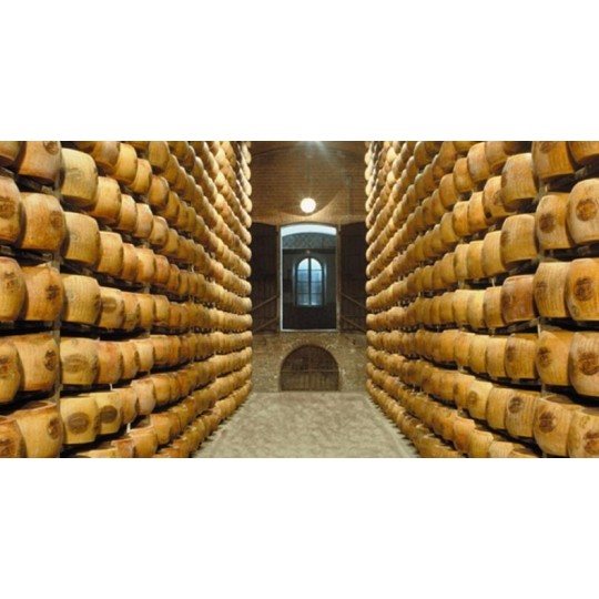 Parmigiano Reggiano Oltre 36 mesi Punta da 1 kg Cantarelli