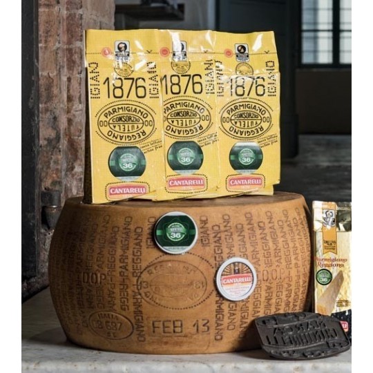 Parmigiano Reggiano Oltre 30 mesi Punta da 500 gr Cantarelli Parmigiano Reggiano Oltre 30 mesi Punta da 500 gr Cantarelli