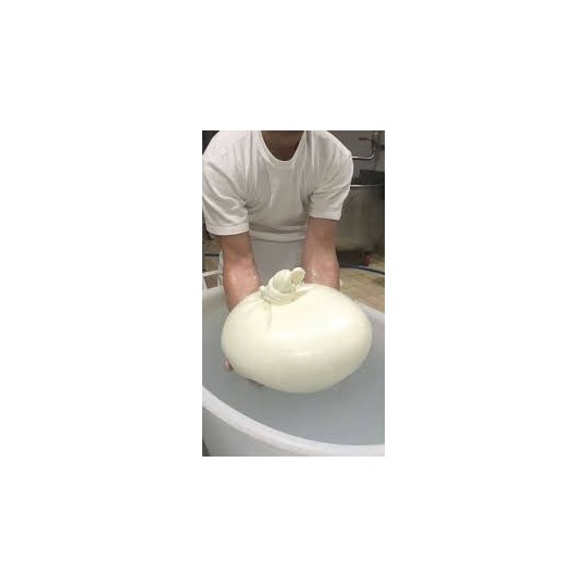 Burrata I.G.P. di Andria 3 kg in carta Montronella Burrata I.G.P. di Andria 3 kg in carta Montronella