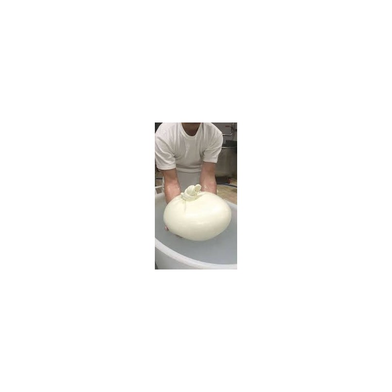 Burrata I.G.P. di Andria 3 kg in carta Montronella