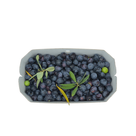 Olive dolci pugliesi box 2 kg