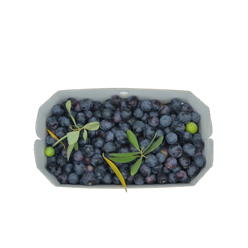 Olive dolci pugliesi box 2 kg
