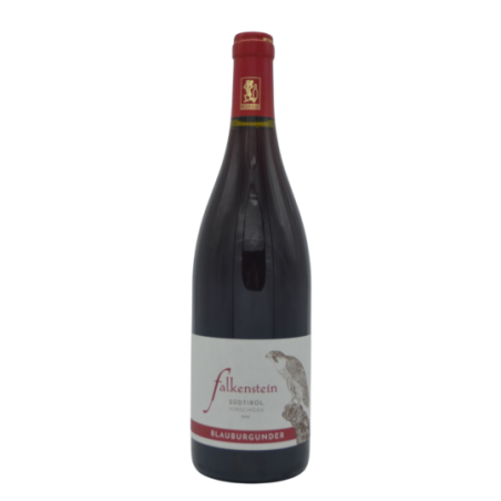 Pinot Nero Falkenstein