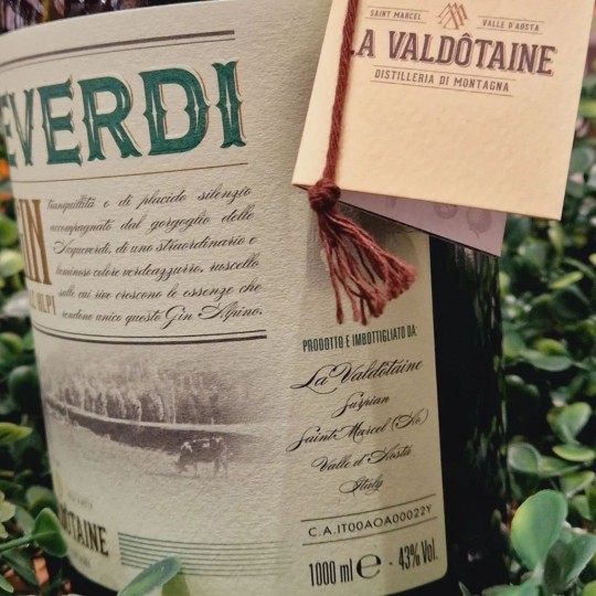 LA VALDOTAINE ACQUEVERDI GIN DELLE ALPI 1l LA VALDOTAINE ACQUEVERDI GIN DELLE ALPI 1l