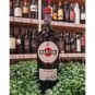 Martini Rosso Aperitivo 1 L