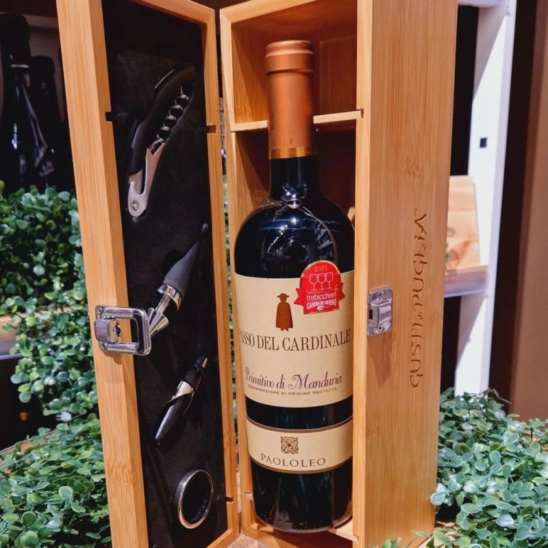 Il Passo del Cardinale Primitivo Paolo Leo