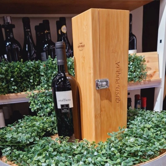 Troia Puglia I.G.P. Nero di Troia 2013 Cantina Diomede