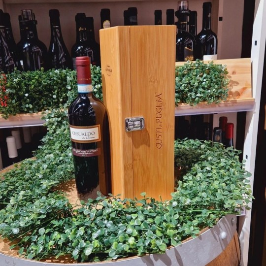 Gesualdo da Venosa Aglianico del Vulture Cantina di Venosa