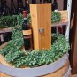 Terre di Orazio Aglianico del Vulture Cantina di Venosa 75cl