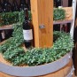 Trentangeli Bio Tormaresca