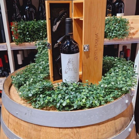 Aglianico I.G.P. Puglia 75 cl Cantina Diomede Aglianico I.G.P. Puglia 75 cl Cantina Diomede