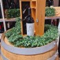 Aglianico I.G.P. Puglia 75 cl Cantina Diomede Aglianico I.G.P. Puglia 75 cl Cantina Diomede