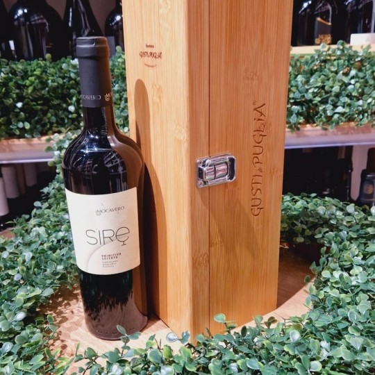 Primitivo Salento IGT Puglia 75 cl Sjre Mocavero Primitivo Salento IGT Puglia 75 cl Sjre Mocavero