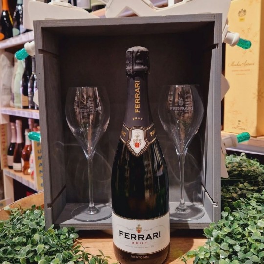 Spumante Brut 75 cl Cantine Ferrari Spumante Brut 75 cl Cantine Ferrari