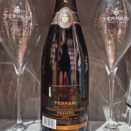 Spumante Brut 75 cl Cantine Ferrari Spumante Brut 75 cl Cantine Ferrari