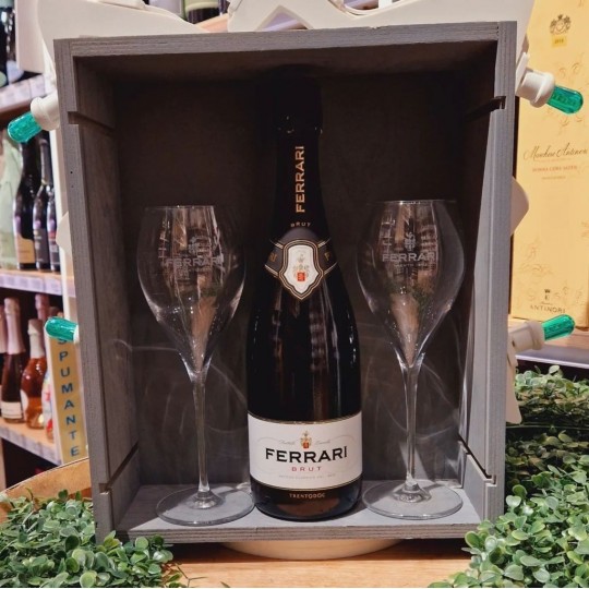 Spumante Brut 75 cl Cantine Ferrari Spumante Brut 75 cl Cantine Ferrari