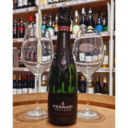 Maximum Brut Blanc De Blancs Trento Doc Ferrari 375ml
