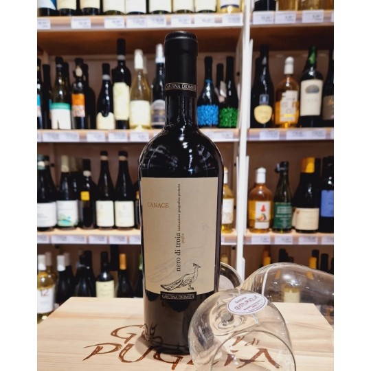 Canace Nero di Troia Magnum Cantina Diomede