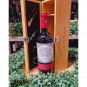 Negroamaro Salento I.G.P. 75 cl Negramante Paololeo Negroamaro Salento I.G.P. 75 cl Negramante Paololeo