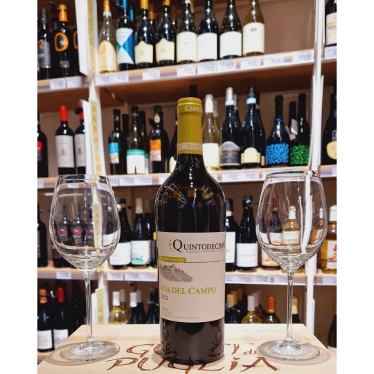 Quintodecimo Via del Campo bianco 2019 Quintodecimo Via del Campo bianco 2019