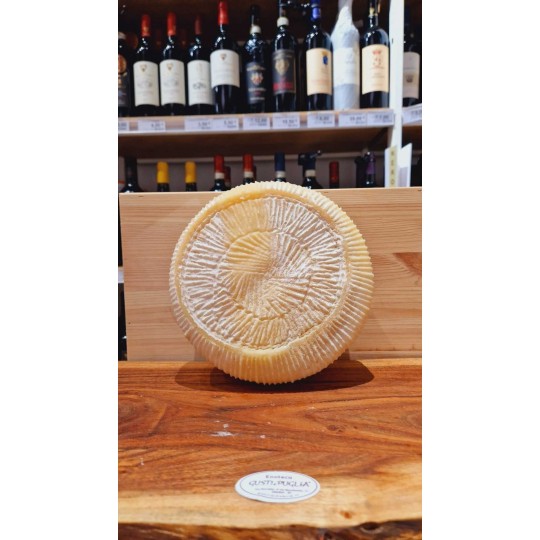 Pecorino Primo Sale Coratino 3 kg Forma Intera Pecorino Primo Sale Coratino 3 kg Forma Intera
