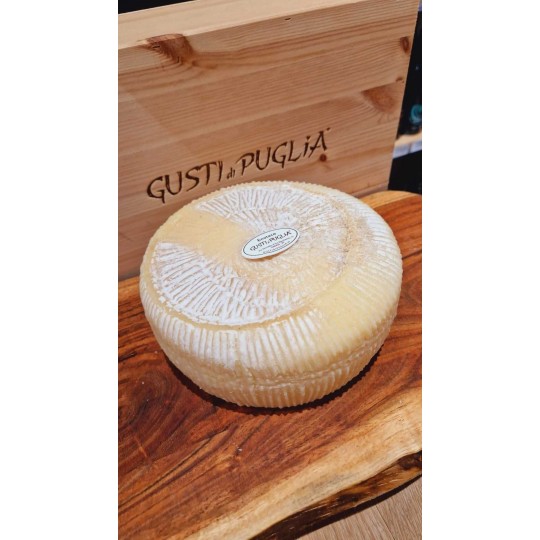 Pecorino Primo Sale Coratino 3 kg Forma Intera Pecorino Primo Sale Coratino 3 kg Forma Intera