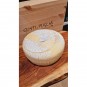 Pecorino Primo Sale Coratino 3 kg Forma Intera Pecorino Primo Sale Coratino 3 kg Forma Intera