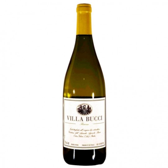 Bucci Verdicchio Classico 75cl