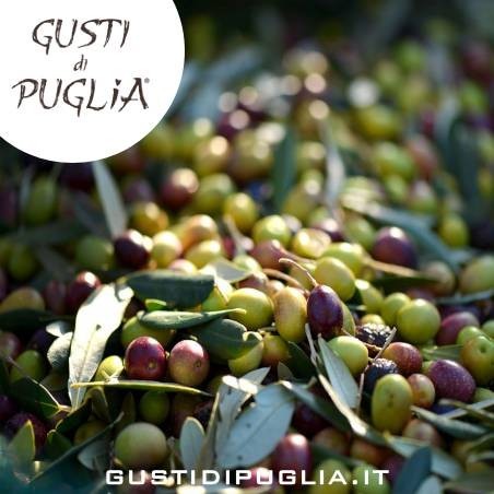 OLIVE