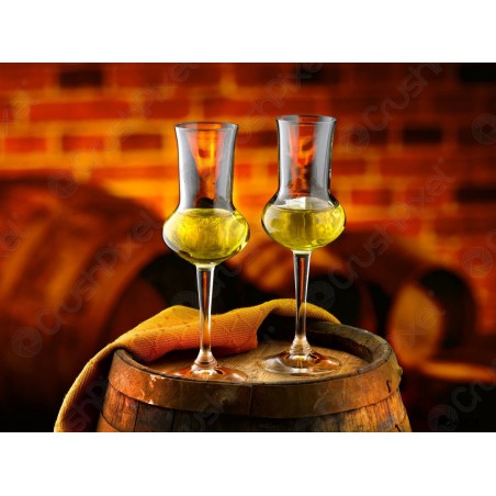 Grappa