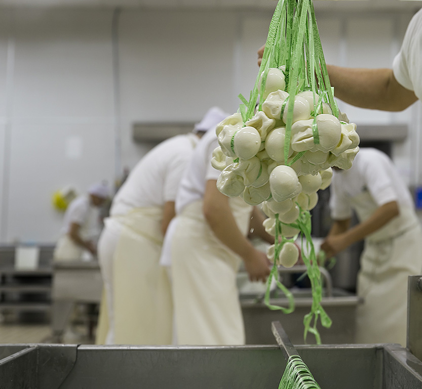 Shop Online Mozzarella e Burrata Montrone