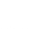 Cardone Vini
