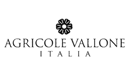 Azienda Vallone Vini