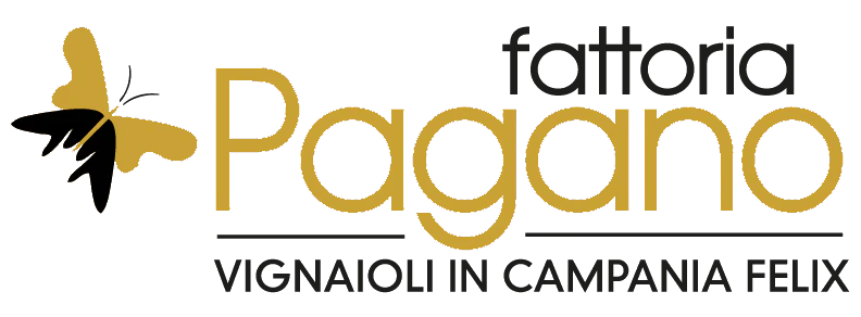 Cantina Fattoria Pagano